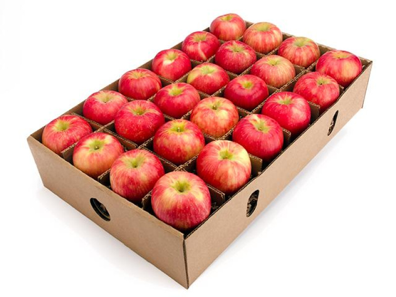 Red apple Honeycrisp