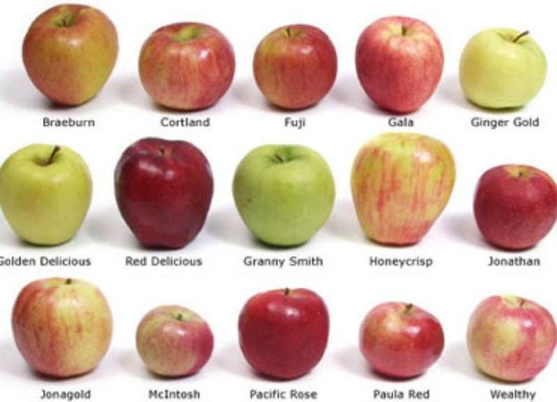 Red apple Honeycrisp