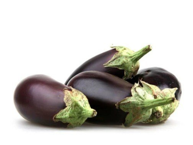 BOSTAN eggplant
