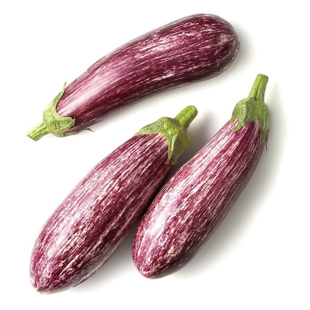 MANISA eggplant