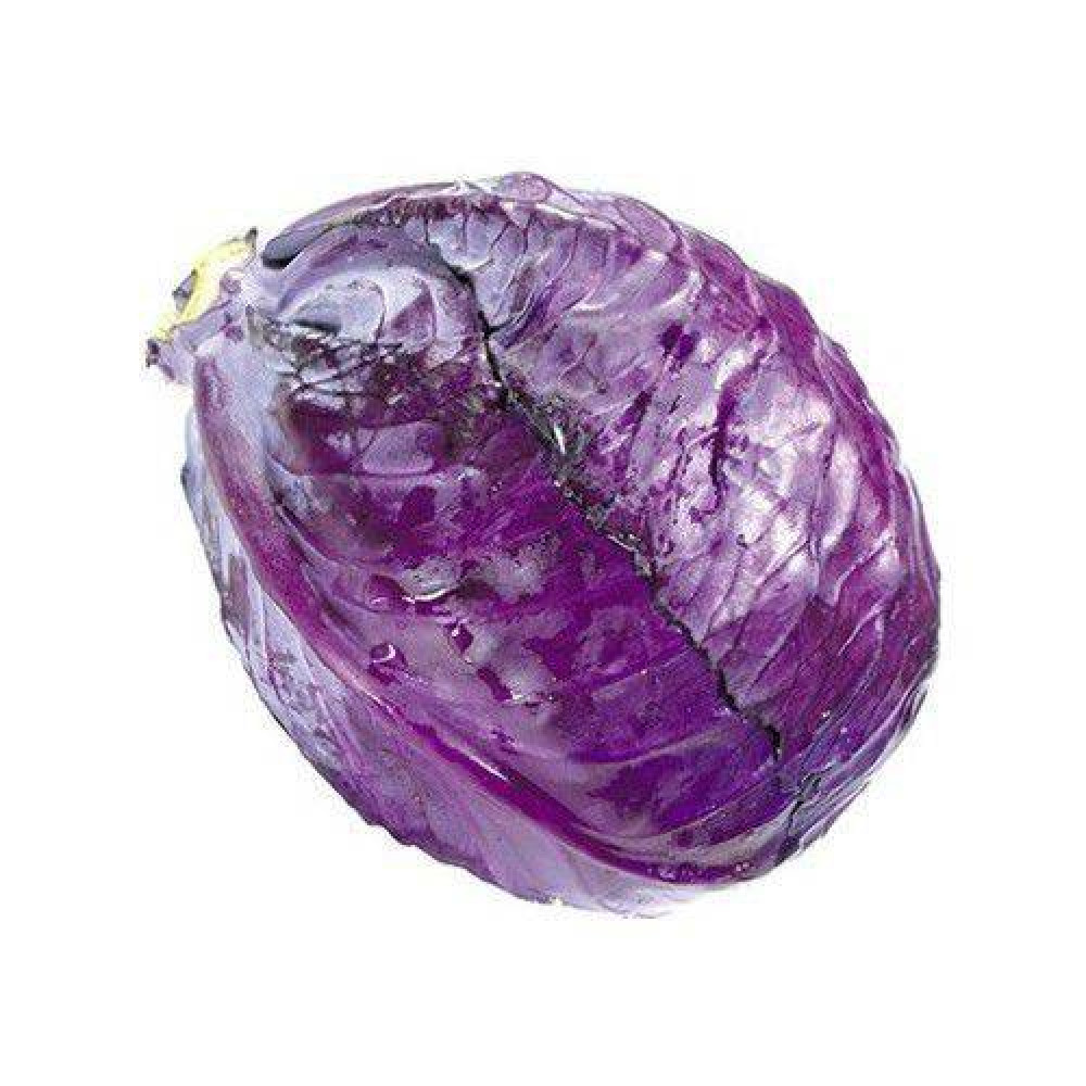 Purple cabbage