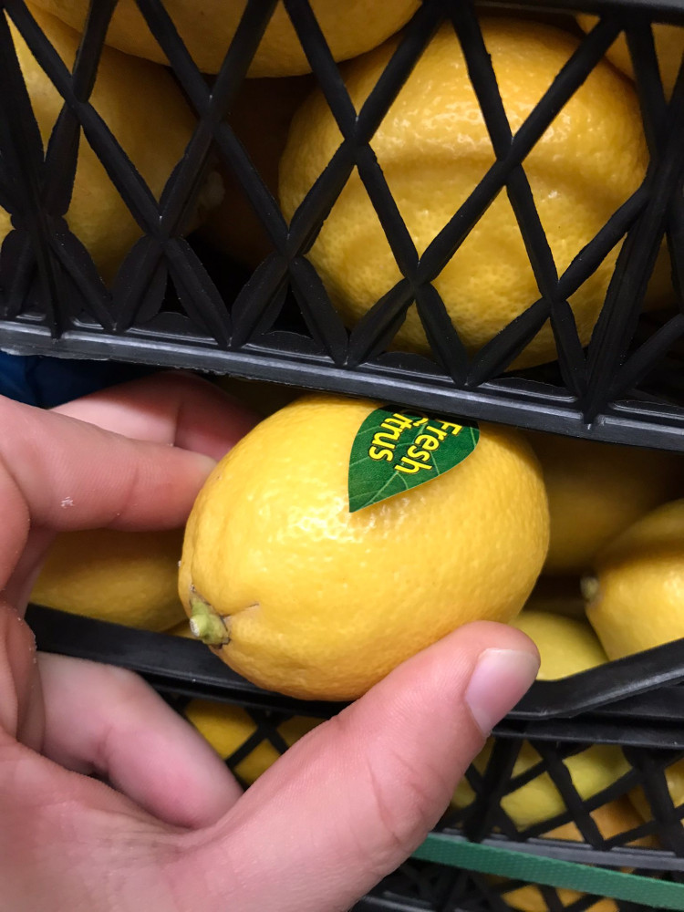 Lemon Mayer