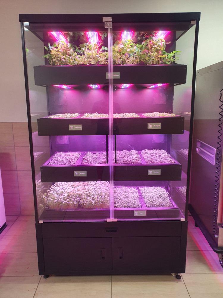 Soil-less Agriculture System