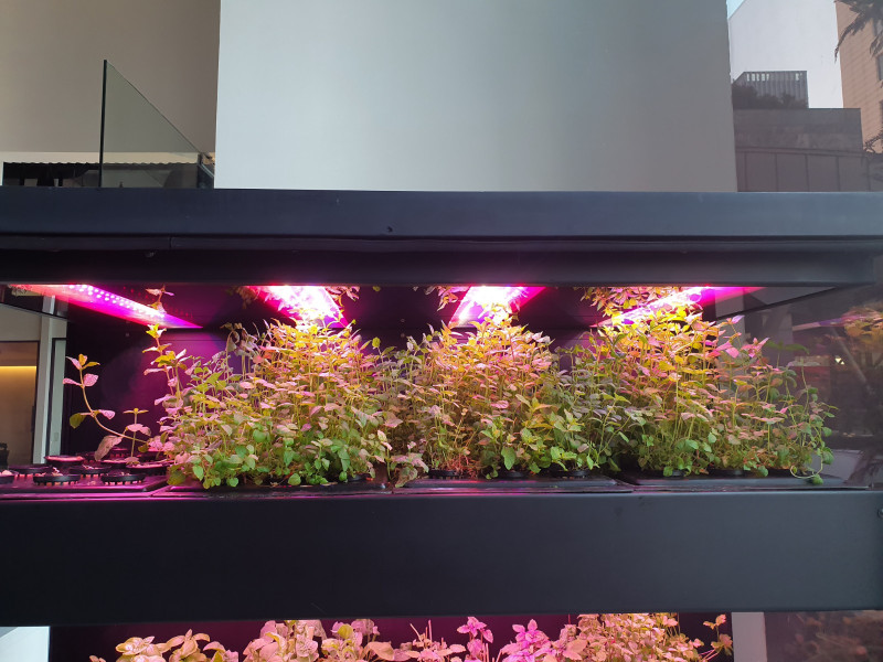 Soil-less Agriculture System